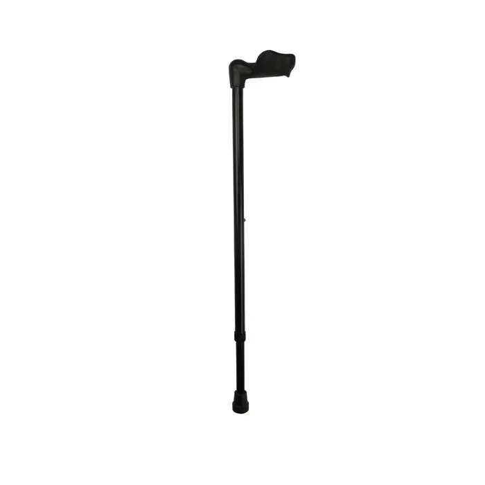 Anatomical Walking Stick