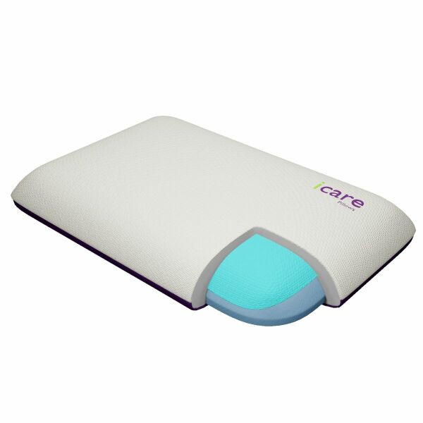 Icare Classic Pillow - Image 6