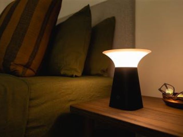 Deluxe Rechargeable Mushroom Touch Lamp